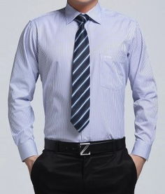 男士商務襯衫職業(yè)裝襯衫西裝襯衫 冬季長袖男裝襯衣 成都美泰來服裝制衣廠 服裝,西服,職業(yè)裝