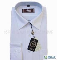 正品金盾襯衫2011年春季新款男士長袖襯衣8196[供應]_世界工廠網中國產品信息庫