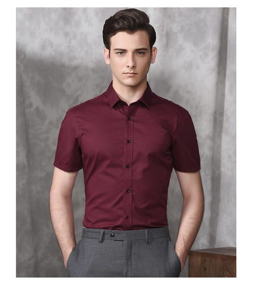 湯河之家 酒紅色襯衫男短袖商務(wù)修身免燙宴會(huì)婚禮婚慶禮服男襯衣
