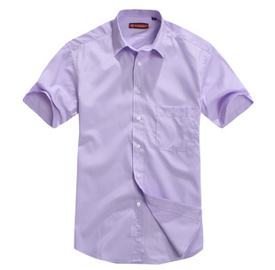 2012男裝襯衫批發商務休閑男式短袖襯衫廠家批發男短袖襯衣B